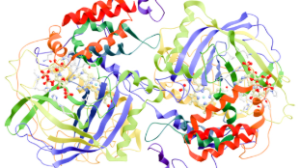 Soluble enzymes